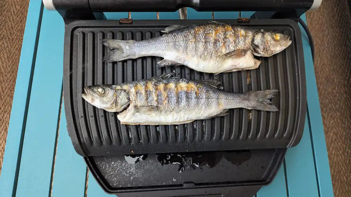 bistecchiera-rowenta-optigrill-xl-recensioni griglia optigrill xl pesce intero