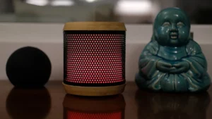 diffusore oli essenziali innobiz audelia recensione