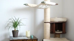 quale tiragraffi scegliere