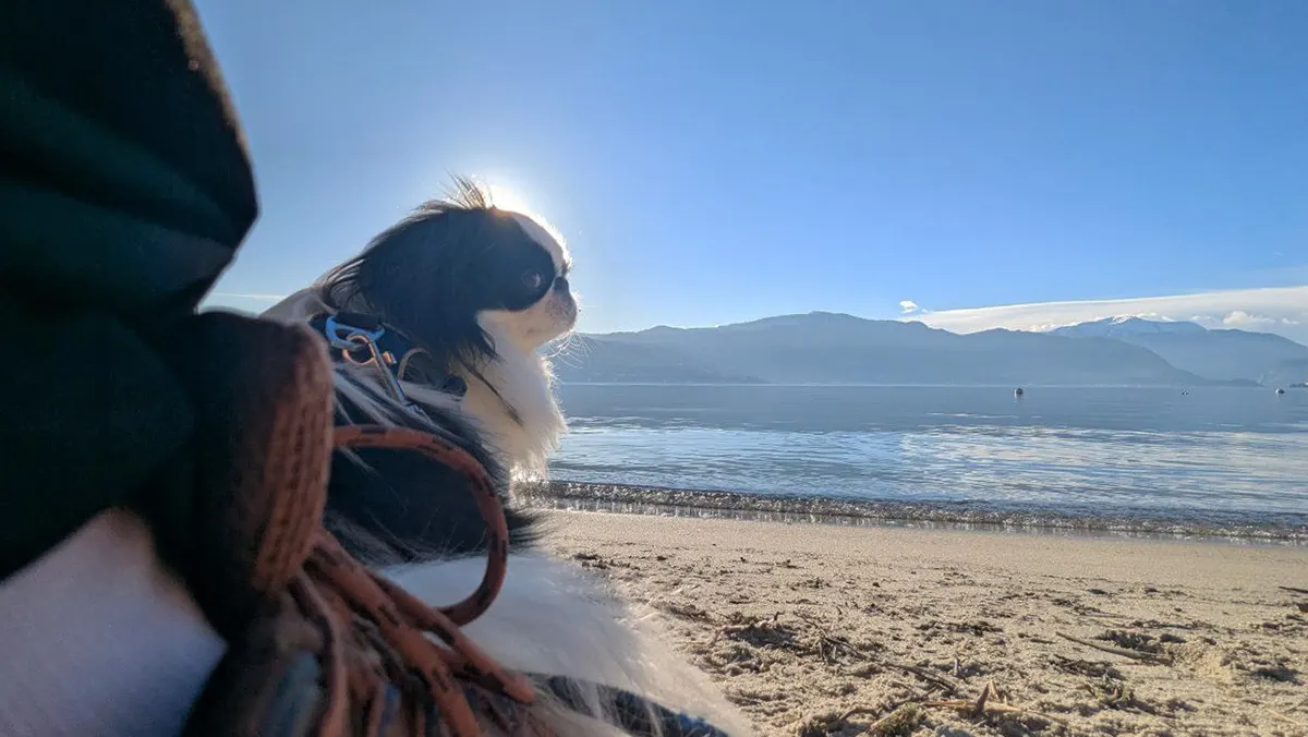 cerseolo-spiaggia-laveno-mombello