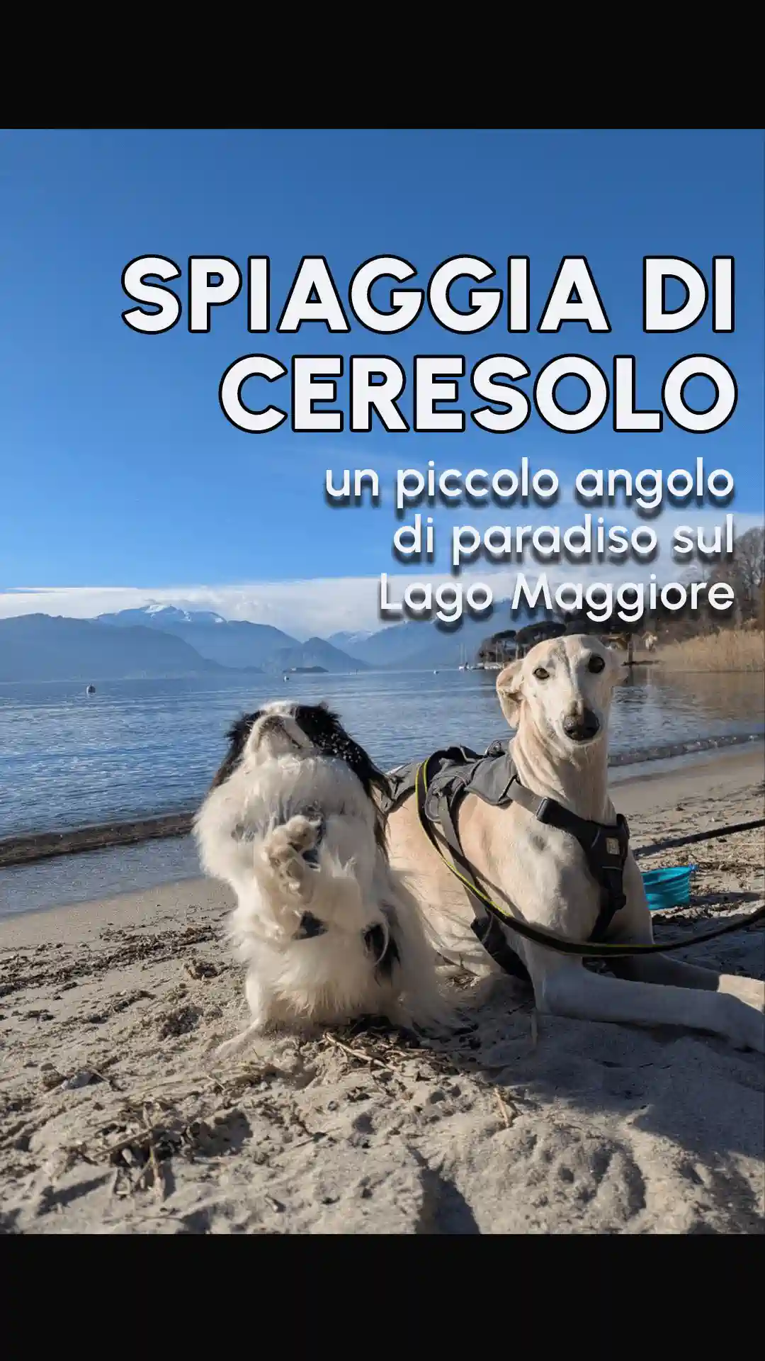 Anteprima video spiaggia di ceresolo laveno mombello